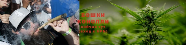мяу мяу мука Белокуриха